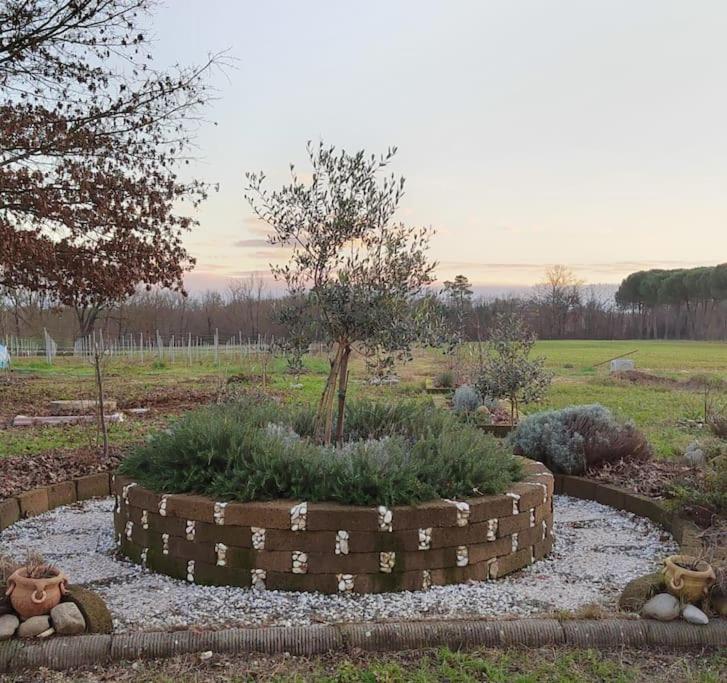 Villa Donnola: Casa Rosmarino Fucecchio Luaran gambar