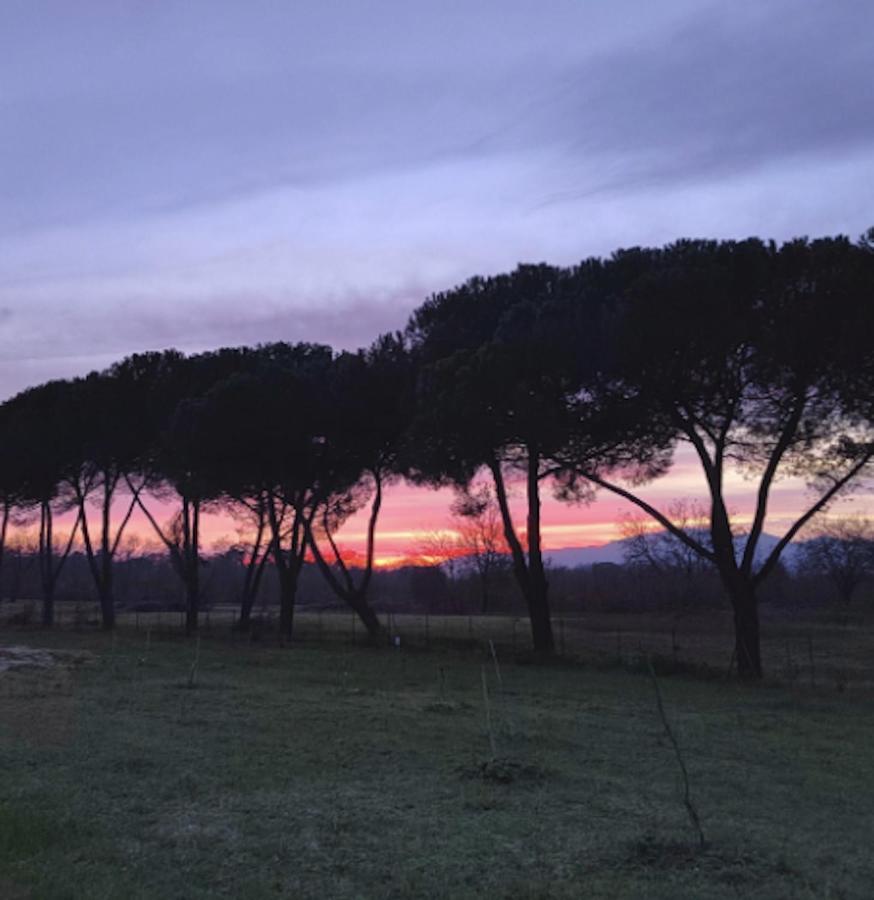 Villa Donnola: Casa Rosmarino Fucecchio Luaran gambar