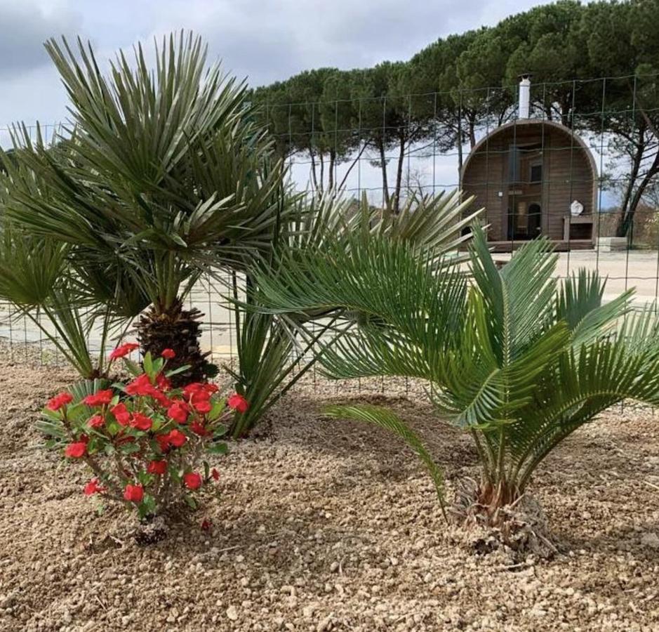 Villa Donnola: Casa Rosmarino Fucecchio Luaran gambar